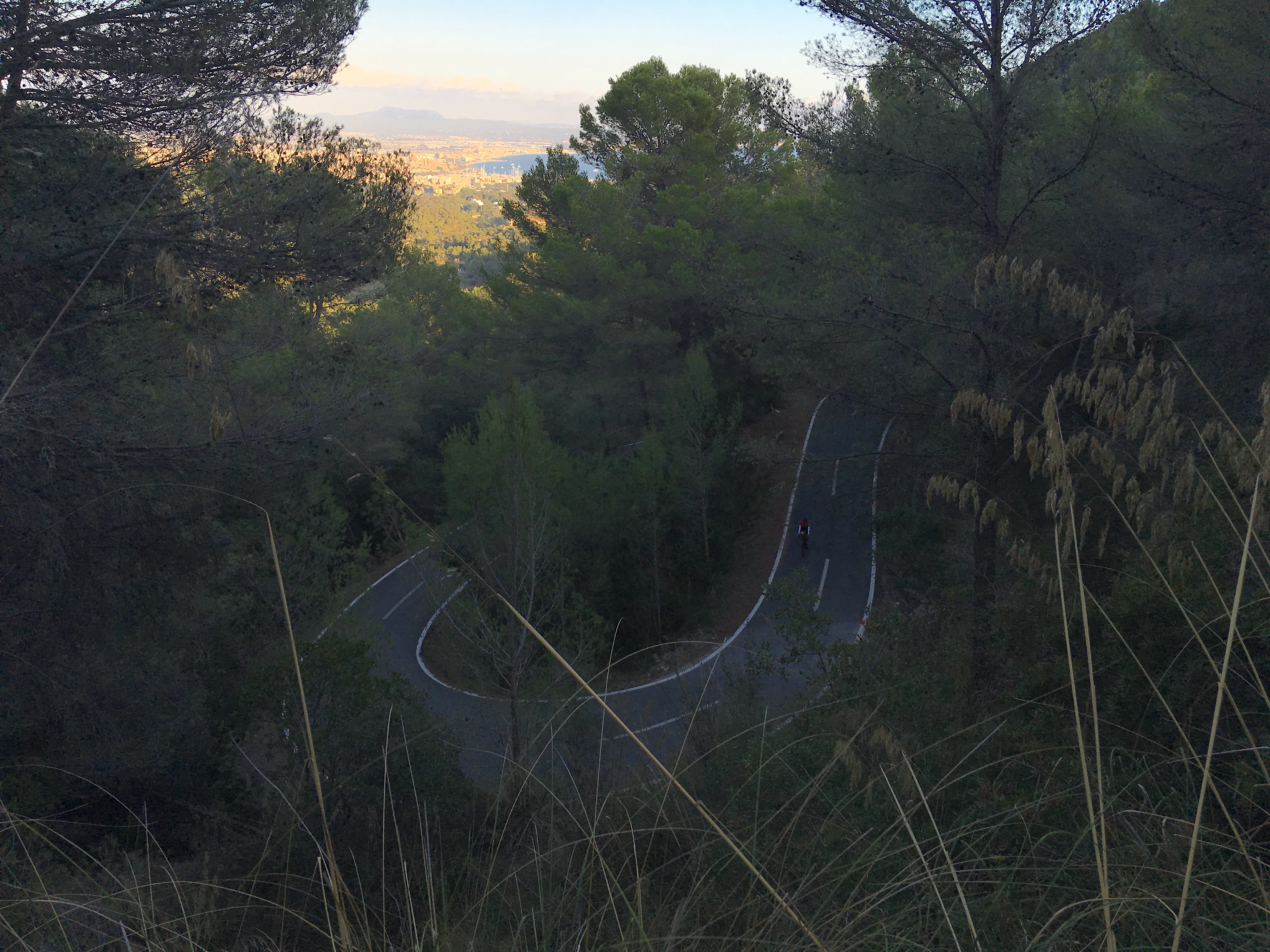 mallorca descent