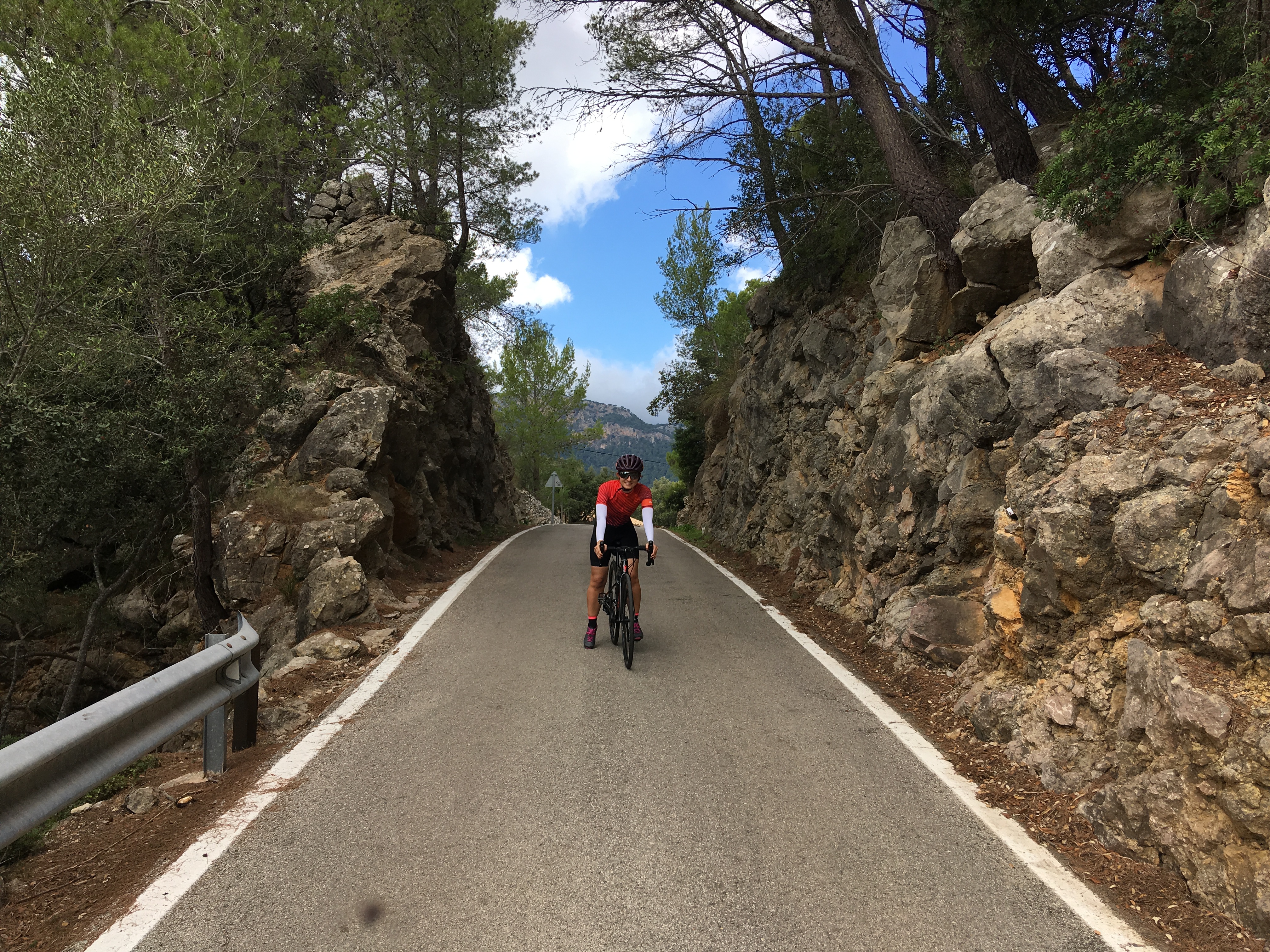 Puigpunyent mallorca