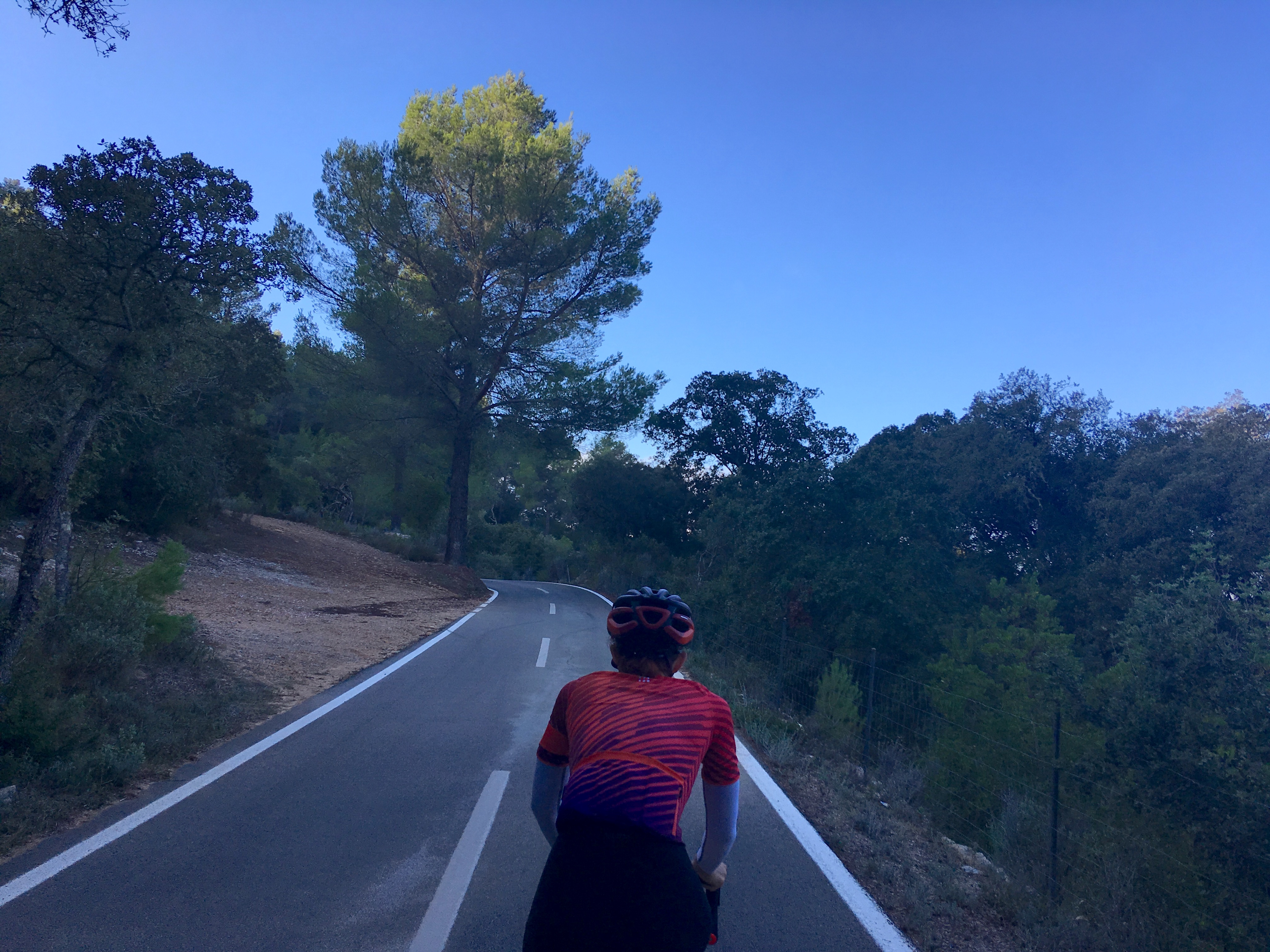 mallorca road cycling